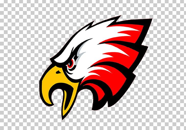 Crossett High School Bald Eagle National Secondary School Philadelphia Eagles PNG, Clipart, American Football, Artwork, Bald Eagle, Beak, Bird Free PNG Download