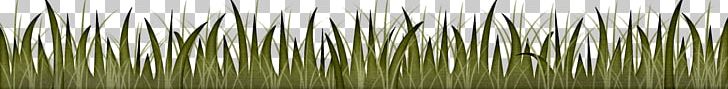 Green PNG, Clipart, Background Green, Beautiful, Beautiful Grass, Grass, Grasses Free PNG Download