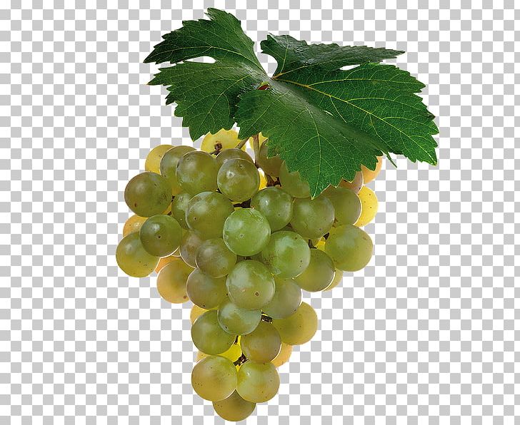 Juice Cabernet Sauvignon Shiraz Wine Grape PNG, Clipart, Berry, Food, Fruit, Fruit Nut, Grape Free PNG Download