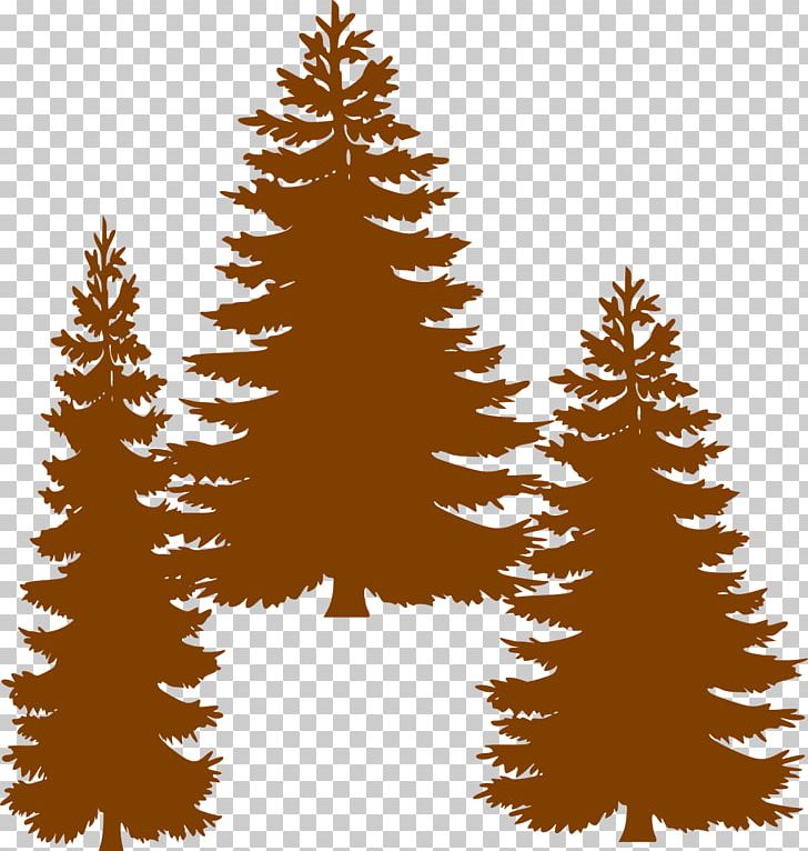 Pine Fir Tree Evergreen PNG, Clipart, Christmas, Christmas Decoration, Christmas Ornament, Christmas Tree, Clip Art Free PNG Download