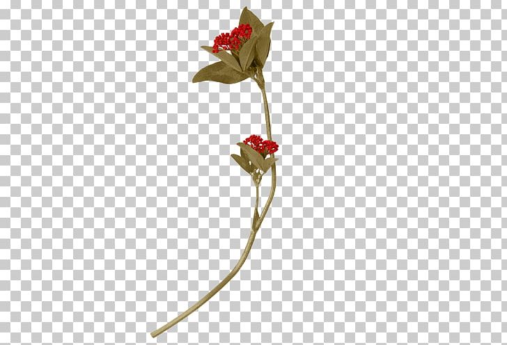 Rose Family Flora Cut Flowers Artificial Flower PNG, Clipart, Artificial Flower, Cut Flowers, Flora, Flower, Flowering Plant Free PNG Download