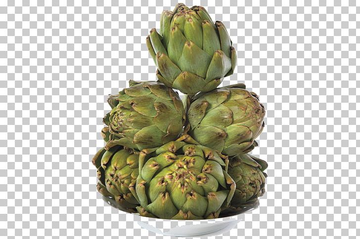 Artichoke PNG, Clipart, Artichoke, Artichokes, Cartoon, Download, Food Free PNG Download