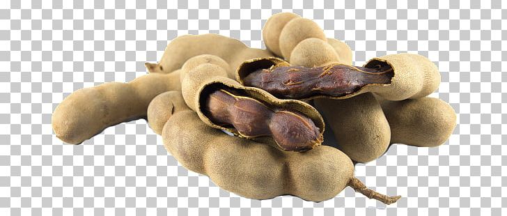 Tamarind Tropical Africa Fruit Plant Legumes PNG, Clipart, Benefit, Food, Fruit, Genus, Ignore Free PNG Download