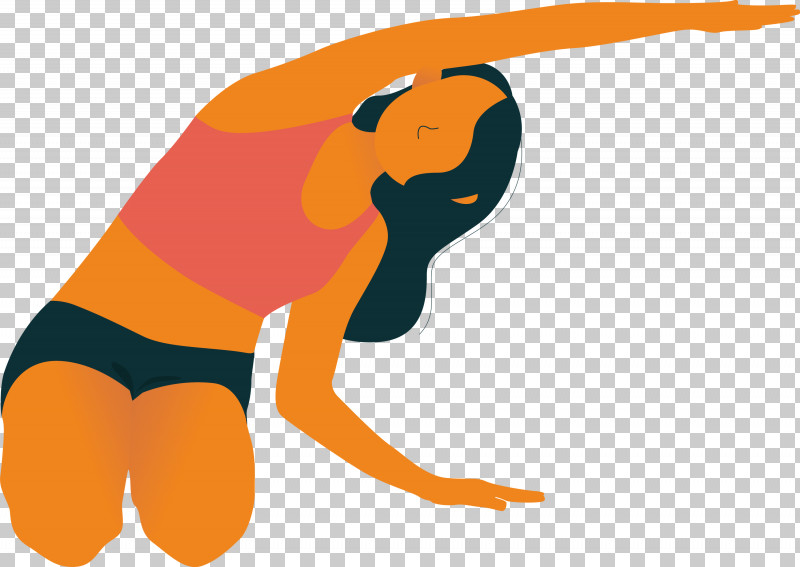 Yoga Yoga Day International Day Of Yoga PNG, Clipart, Beak, Biology, Computer, Human Biology, Human Skeleton Free PNG Download