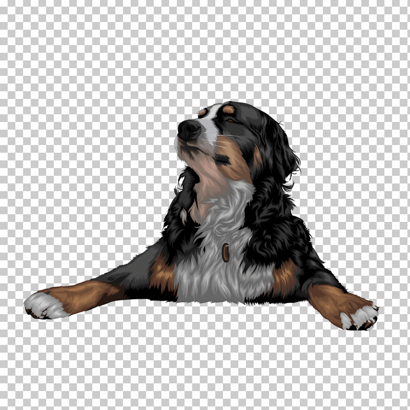 Bernese Mountain Dog Puppy Snout Companion Dog Breed PNG, Clipart, Bernese Mountain Dog, Biology, Breed, Companion Dog, Dog Free PNG Download