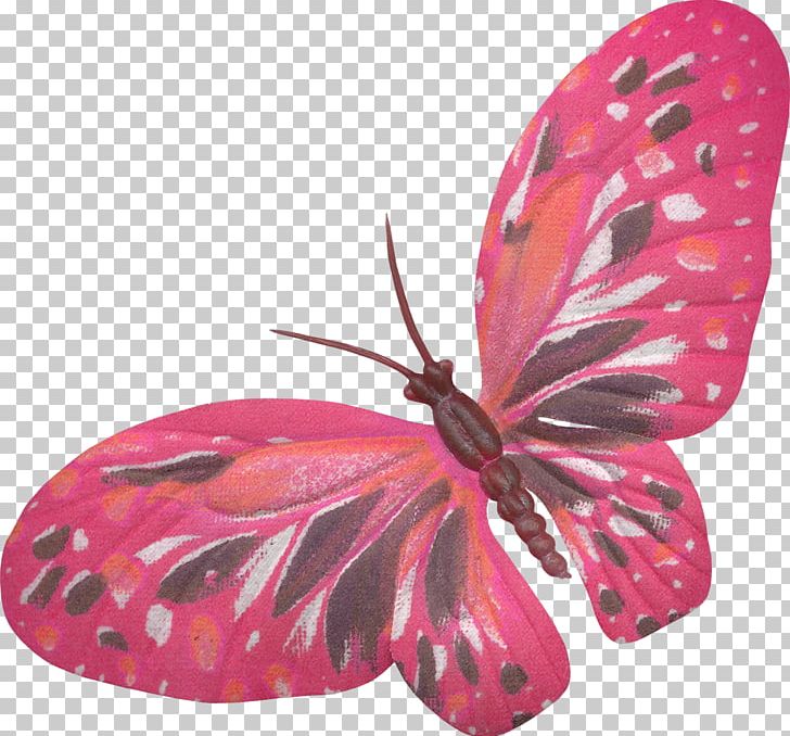 Bee Butterflies And Moths Insect Drawing PNG, Clipart, Arthropod, Bee, Brush Footed Butterfly, Butterflies And Moths, Butterfly Free PNG Download