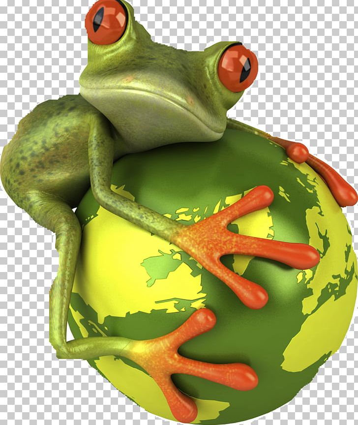 Frog PNG, Clipart, 3d Computer Graphics, Amphibian, Animals, Decal, Desktop Wallpaper Free PNG Download