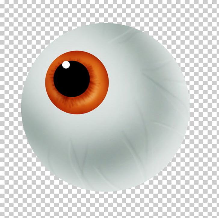 Halloween Costume Eye PNG, Clipart, Ball, Christmas, Circle, Closeup, Creative Graphics Free PNG Download