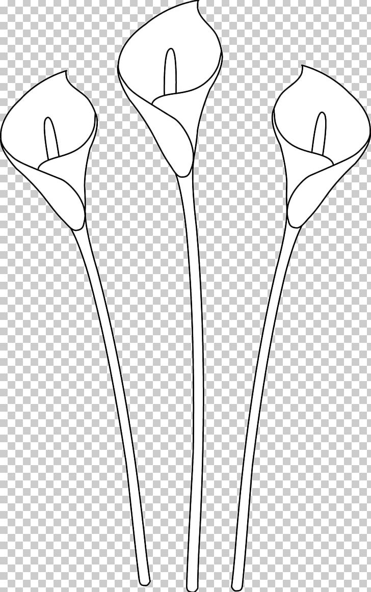 Arum-lily Easter Lily Drawing Line Art PNG, Clipart, Arumlily, Black And White, Calla Lily, Callalily, Drawing Free PNG Download