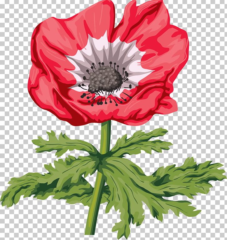 Common Poppy Remembrance Poppy Flower PNG, Clipart, Anemone, Annual Plant, Chrysanths, Cut Flowers, Desktop Wallpaper Free PNG Download