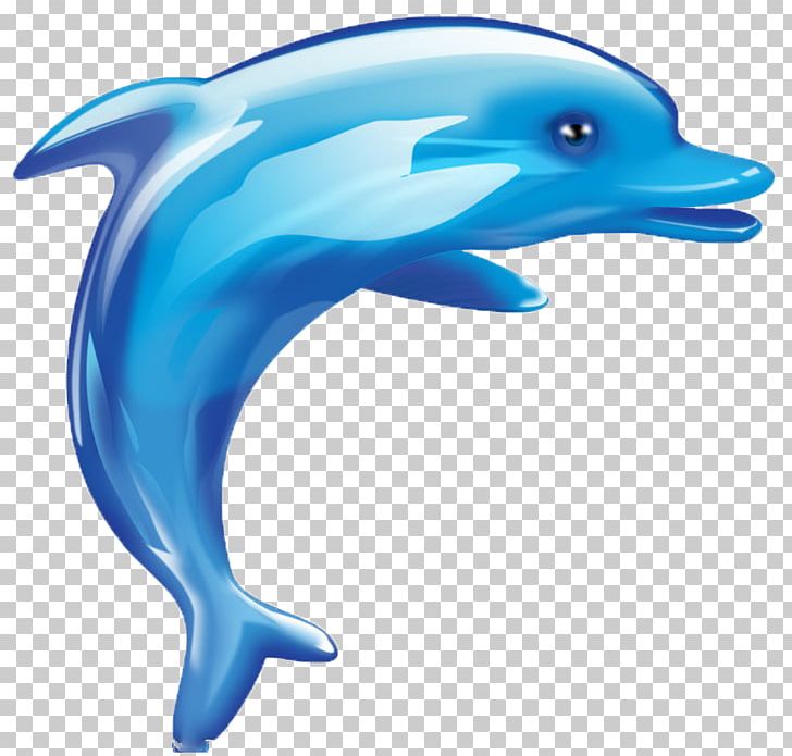 Dolphin Cartoon Cuteness PNG, Clipart, Animal, Animals, Child, Love, Love Background Free PNG Download