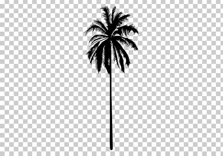 Drawing Silhouette Arecaceae PNG, Clipart, Animals, Arecaceae, Arecales, Black And White, Borassus Flabellifer Free PNG Download