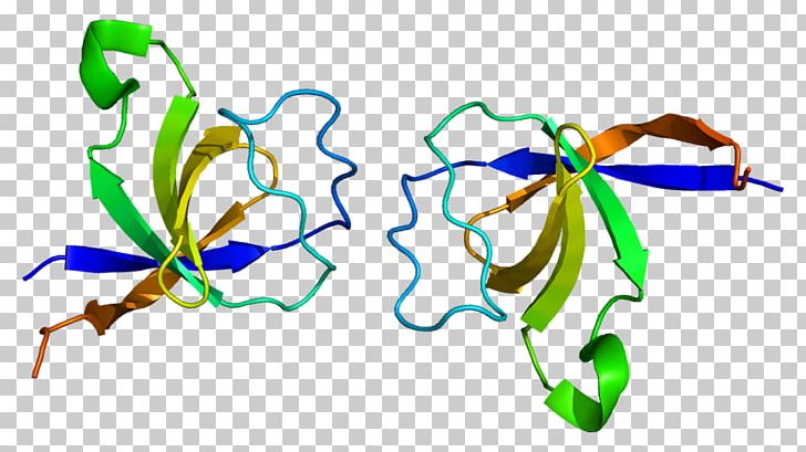 BCAR1 Proline Rich Protein PRP36 Gene PNG, Clipart, Antiestrogen, Branch, Breast Cancer, Butterflies And Moths, Chromosome 16 Free PNG Download