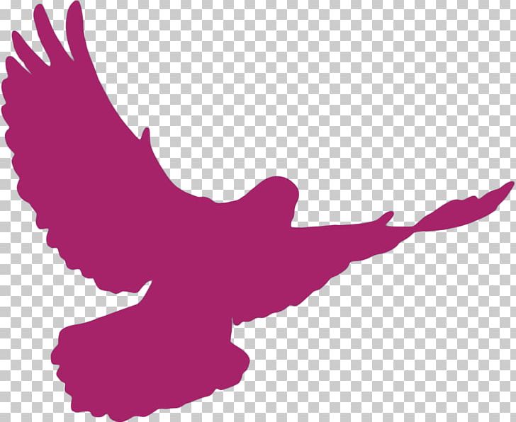 Columbidae Doves As Symbols Silhouette PNG, Clipart, Animals, Art, Beak, Bird, Columbidae Free PNG Download