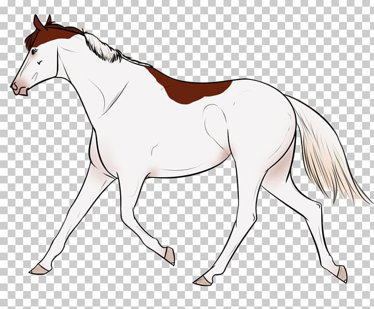 Foal Mane Stallion Mare Colt PNG, Clipart,  Free PNG Download