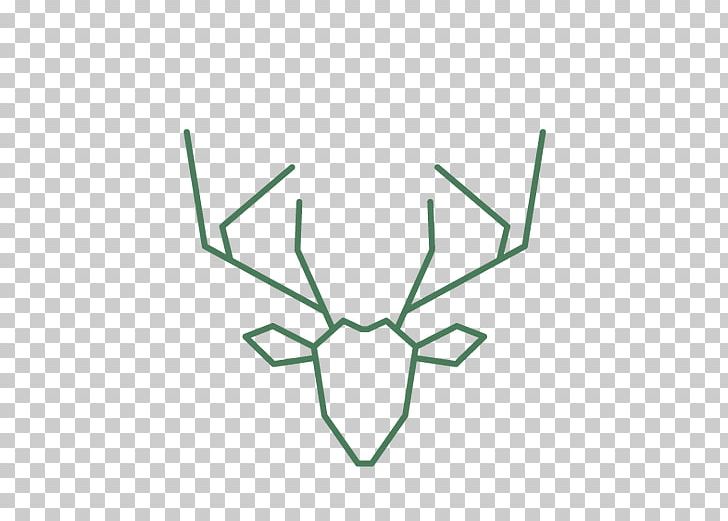 Line Antler Angle PNG, Clipart, Angle, Antler, Art, Grass, Leaf Free PNG Download