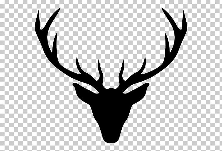 Reindeer White-tailed Deer Moose Antler PNG, Clipart, Animal, Animals, Antler, Black And White, Deer Free PNG Download