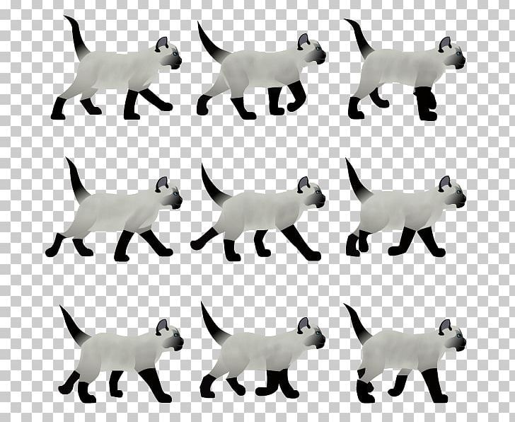 Cat Animated Film 2D Computer Graphics Flash Animation PNG, Clipart, 2d Computer Graphics, Adobe Flash, Animal, Animal Figure, Animals Free PNG Download