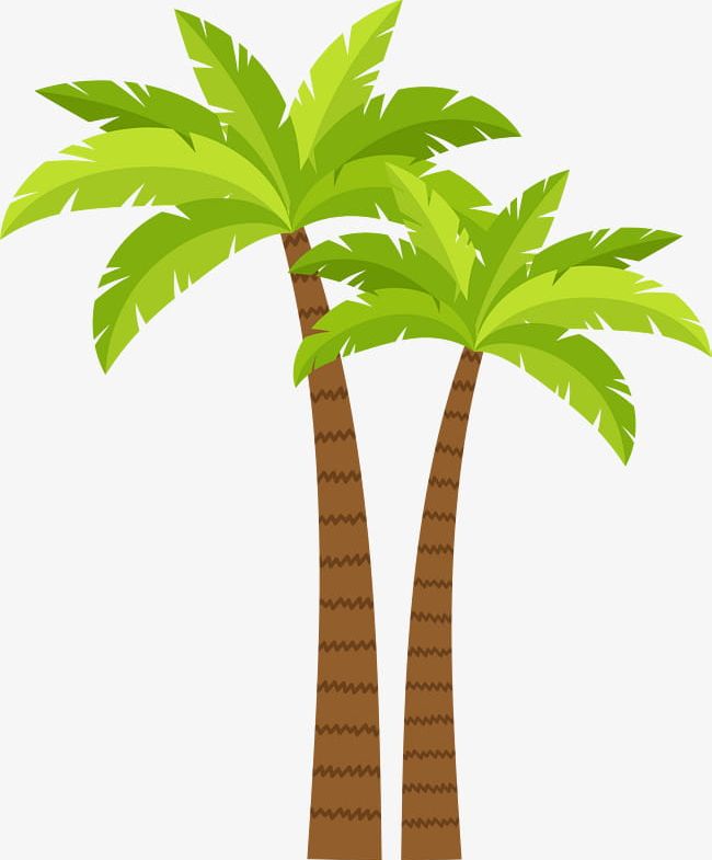 Coconut Tree Decoration Pattern PNG, Clipart, Beach, Beach Coconut Trees,  Beach Decoration, Cartoon, Coconut Free PNG