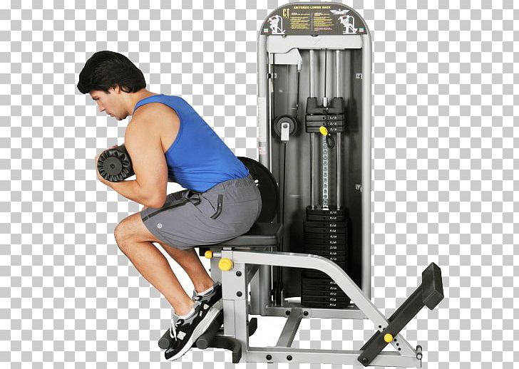 Exercise Machine Exercise Equipment Human Back Crunch PNG, Clipart, Abdominal Exercise, Arm, Crunch, Exercise, Exercise Equipment Free PNG Download