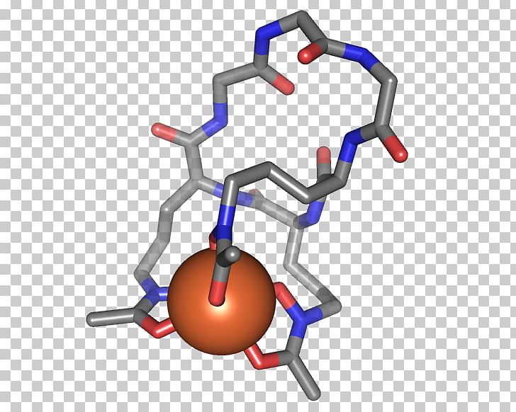 Ferrichrome Siderophore Iron Chemistry Coordination Complex PNG, Clipart, Angle, Atom, Bioinorganic Chemistry, Bound, Chelation Free PNG Download