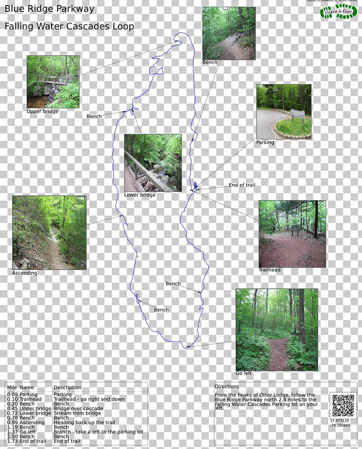 Tree Angle PNG, Clipart, Angle, Grass, Nature, Plant, Ridge Trail Free PNG Download