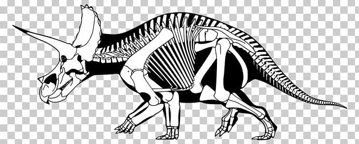 Triceratops Tyrannosaurus Maiasaura Brachyceratops Stegosaurus PNG, Clipart, Anatomy, Animal Figure, Black And White, Bone, Brachyceratops Free PNG Download