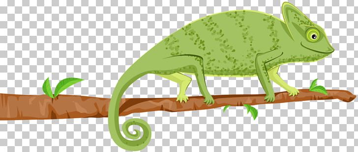 Chameleons Wall Decal Etsy PNG, Clipart, Animal Figure, Chameleon, Chameleons, Etsy, Fauna Free PNG Download