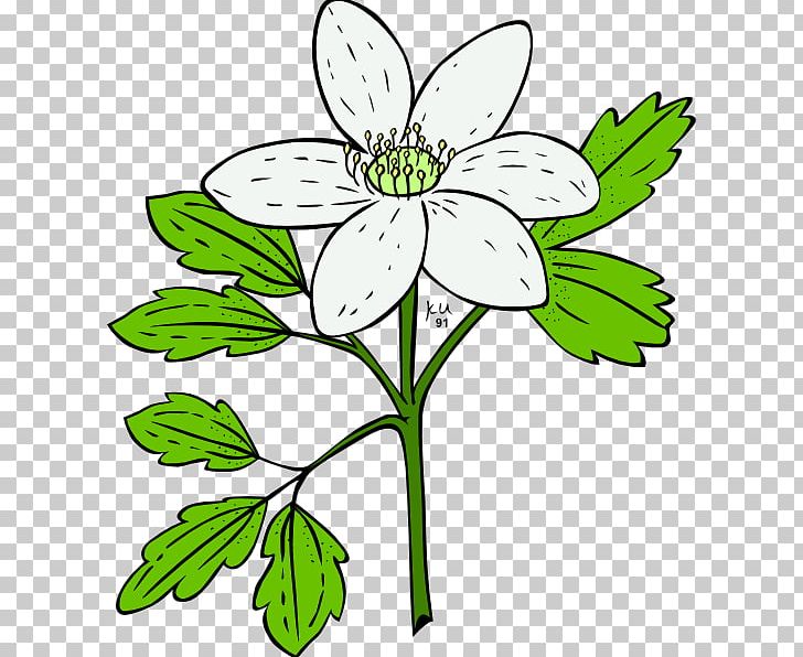 Flower Plant Anemone PNG, Clipart, Black And White, California Poppy, Common Daisy, Cut Flowers, Fictional Character Free PNG Download