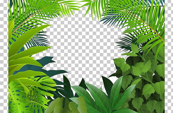 Tropical Rainforest Jungle Tropics PNG, Clipart, Arecales, Background Green, Computer Wallpaper, Euclidean Vector, Forest Free PNG Download