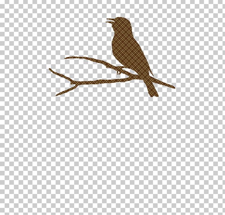Wren Beak Fauna Cuckoos Feather PNG, Clipart, Beak, Bird, Branch, Cuckoos, Cuculiformes Free PNG Download
