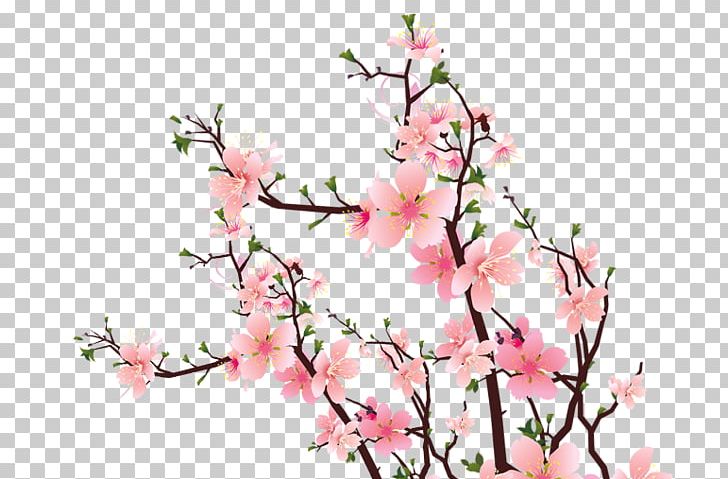 Common Plum Plum Blossom Pink Flower PNG, Clipart, Art, Azalea, Blossom, Branch, Cherry Blossoms Free PNG Download