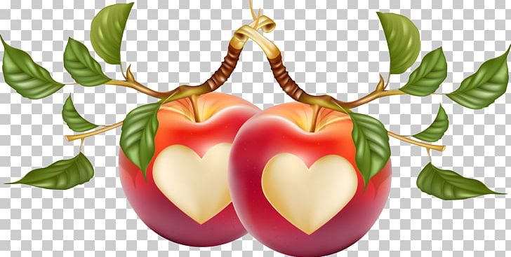 Heart-shaped Apple PNG, Clipart, Apple, Apple Fruit, Apple Logo, Encapsulated Postscript, Food Free PNG Download