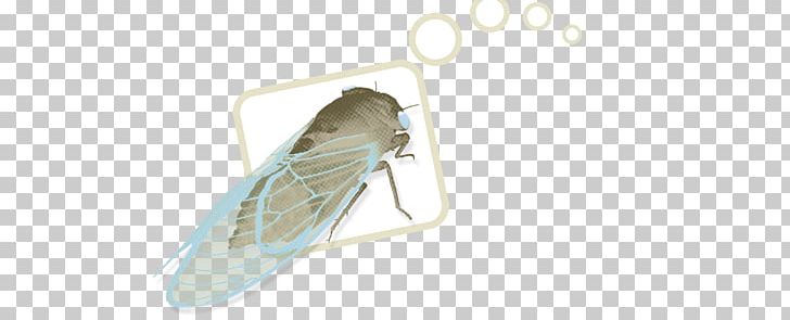 Pest PNG, Clipart, Agency, Butterfly, Cicada, Full Service, Insect Free PNG Download