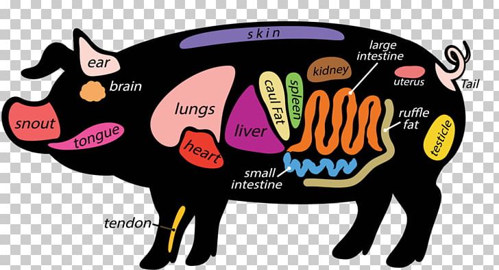 Pig Snout PNG, Clipart, Animals, Clip Art, Cut, Livestock, Meat Free PNG Download