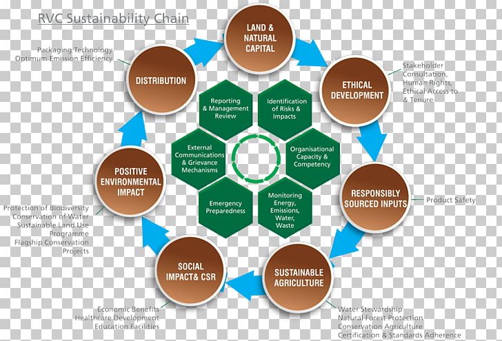 Brand Organization Diagram PNG, Clipart, Art, Brand, Communication, Diagram, Organization Free PNG Download