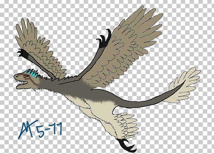 Hawk Owl Cartoon Fauna Eagle PNG, Clipart, Animals, Animated Cartoon, Beak, Bird, Bird Of Prey Free PNG Download