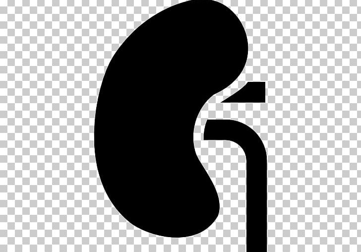 Kidney Computer Icons PNG, Clipart, Black And White, Clip Art, Computer Icons, Encapsulated Postscript, Kidney Free PNG Download