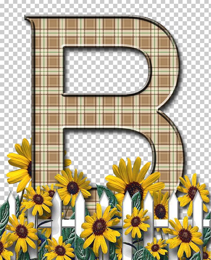 Letter Case Alphabet Flower PNG, Clipart, Alphabet, Cut Flowers, Daisy, Daisy Family, English Alphabet Free PNG Download