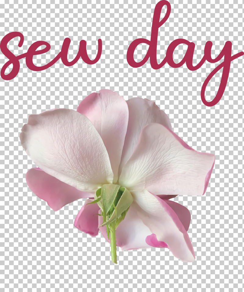 Sew Day PNG, Clipart, Biology, Cut Flowers, Flower, Herbaceous Plant, Meter Free PNG Download