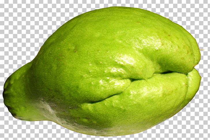 Chayote Vegetable Pumpkin Melon PNG, Clipart, Auglis, Avocado, Chayote, Choko, Christophene Free PNG Download