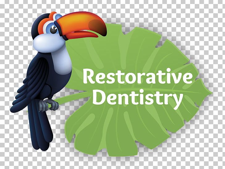 Restorative Dentistry Pediatric Dentistry Dental Fear Orthodontics PNG, Clipart, Beak, Bird, Dental Fear, Dentistry, Fauna Free PNG Download