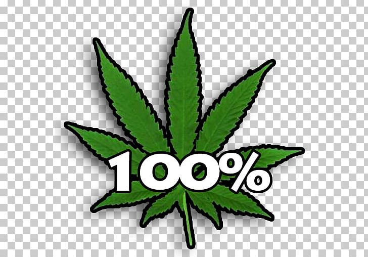 United States Legalization Legality Of Cannabis Essay PNG, Clipart, Argumentative, Battery, Cannabis, Cannabis Smoking, Drug Free PNG Download