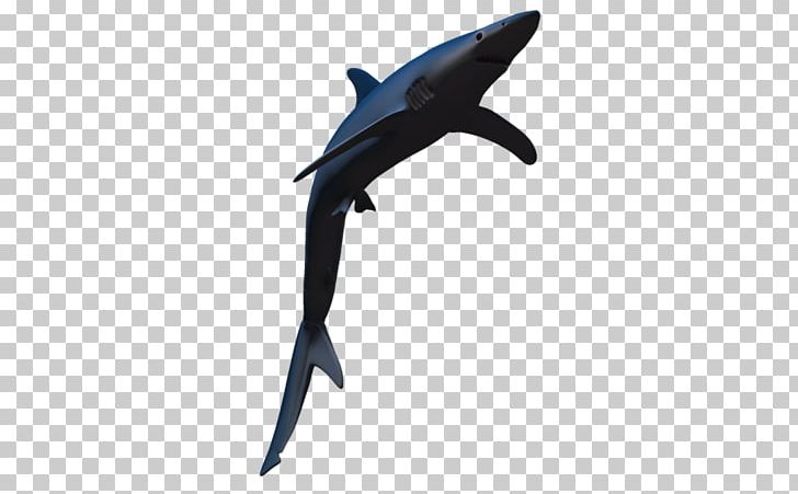 Blue Shark Pelican Eel PNG, Clipart, Animal Figure, Blue Shark, Cartilaginous Fish, Deep Sea Creature, Dolphin Free PNG Download