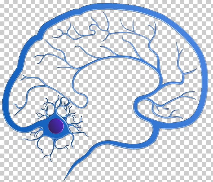 Central California Neurology: Dale Helman PNG, Clipart, Area, Artwork, Brain, California, Central California Neurology Free PNG Download