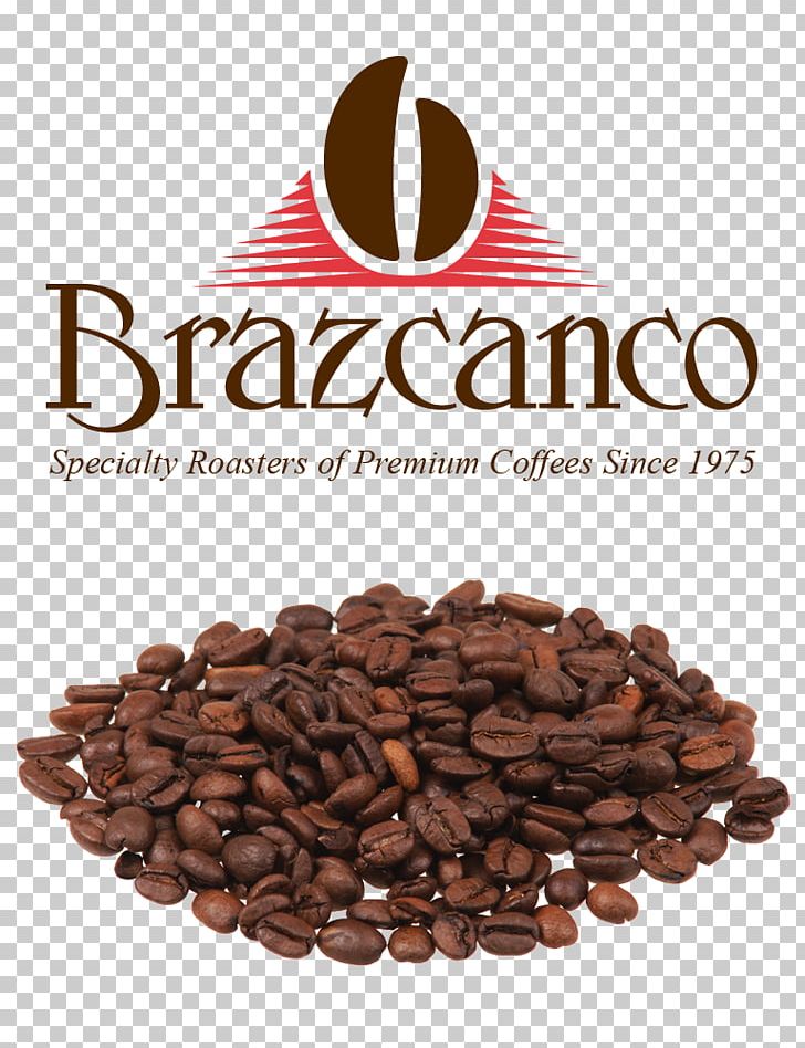 Coffee Bean Cafe Instant Coffee Jamaican Blue Mountain Coffee PNG, Clipart, Bean, Cafe, Caffeine, Chocolate, Cocoa Bean Free PNG Download