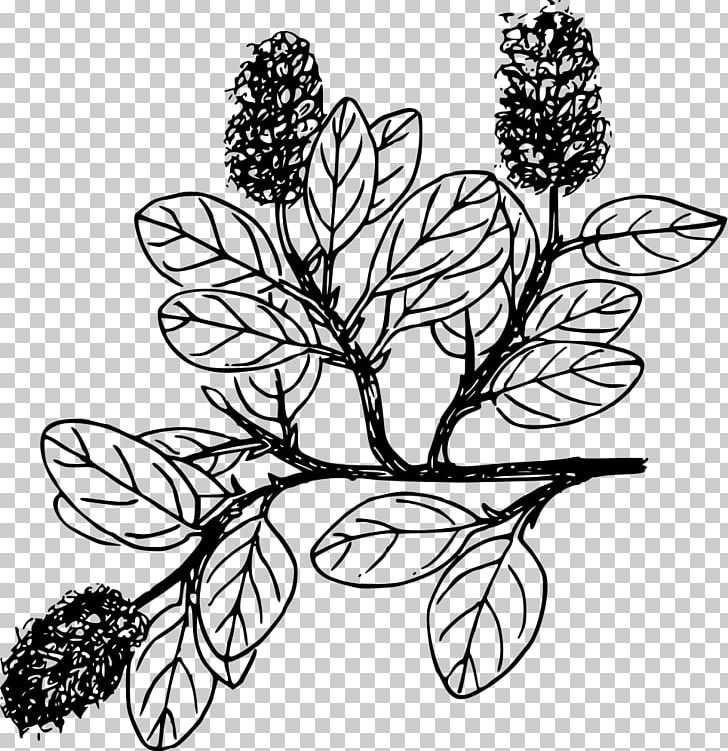 Drawing Line Art PNG, Clipart, Artwork, Black And White, Branch, Color, Flower Free PNG Download