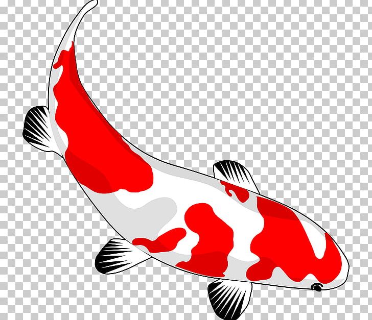 Koi Goldfish Drawing PNG, Clipart, Animals, Carp, Cartoon, Clip Art, Common Carp Free PNG Download