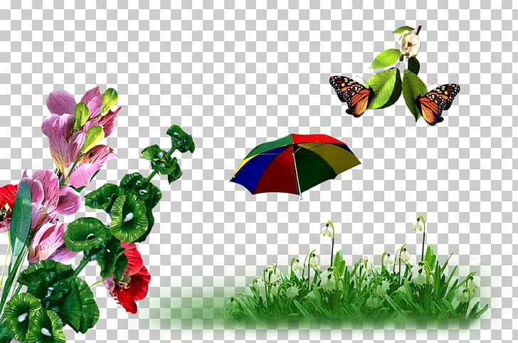 Song PNG, Clipart, Backup, Butterfly, Fillings, Flora, Grass Free PNG Download