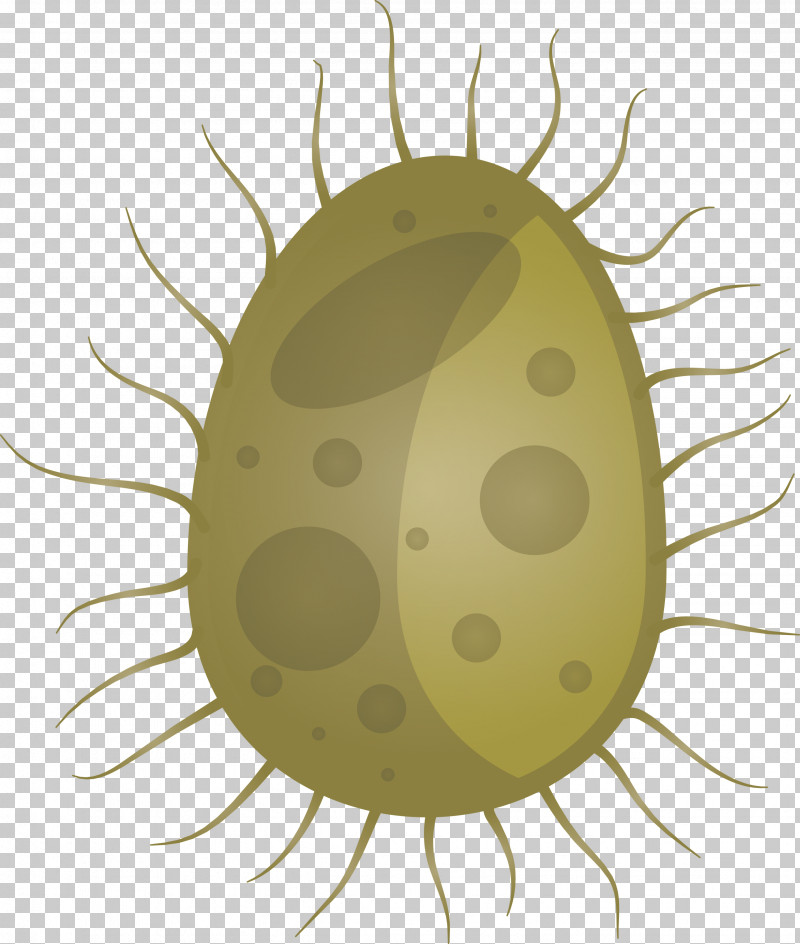 Virus PNG, Clipart, Insect, Parasite, Virus Free PNG Download